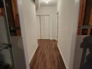 Premier Basement Transformations 4