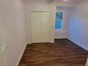Premier Basement Transformations 3
