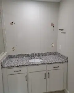 Atlanta's Bathrooms Elegant Renovation 2